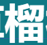 草榴社区
